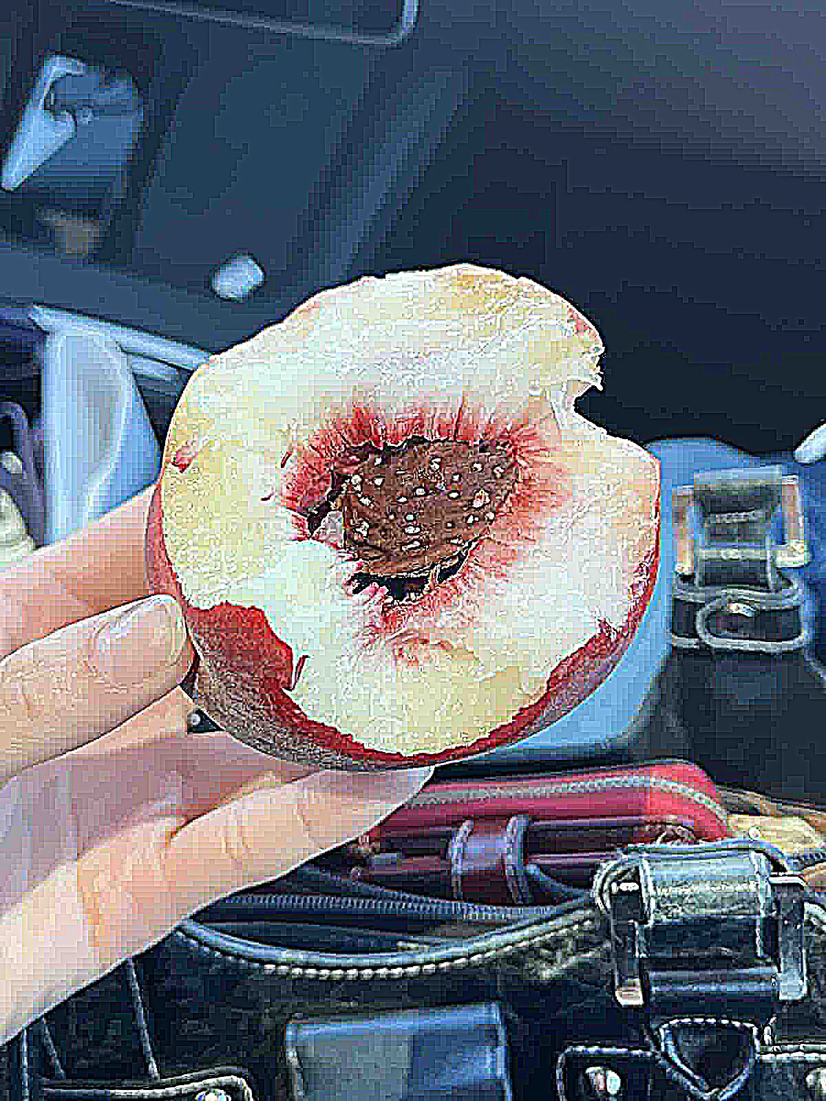 Peach α=10