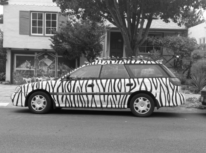 A zebra car I saw on my run in spatial domain