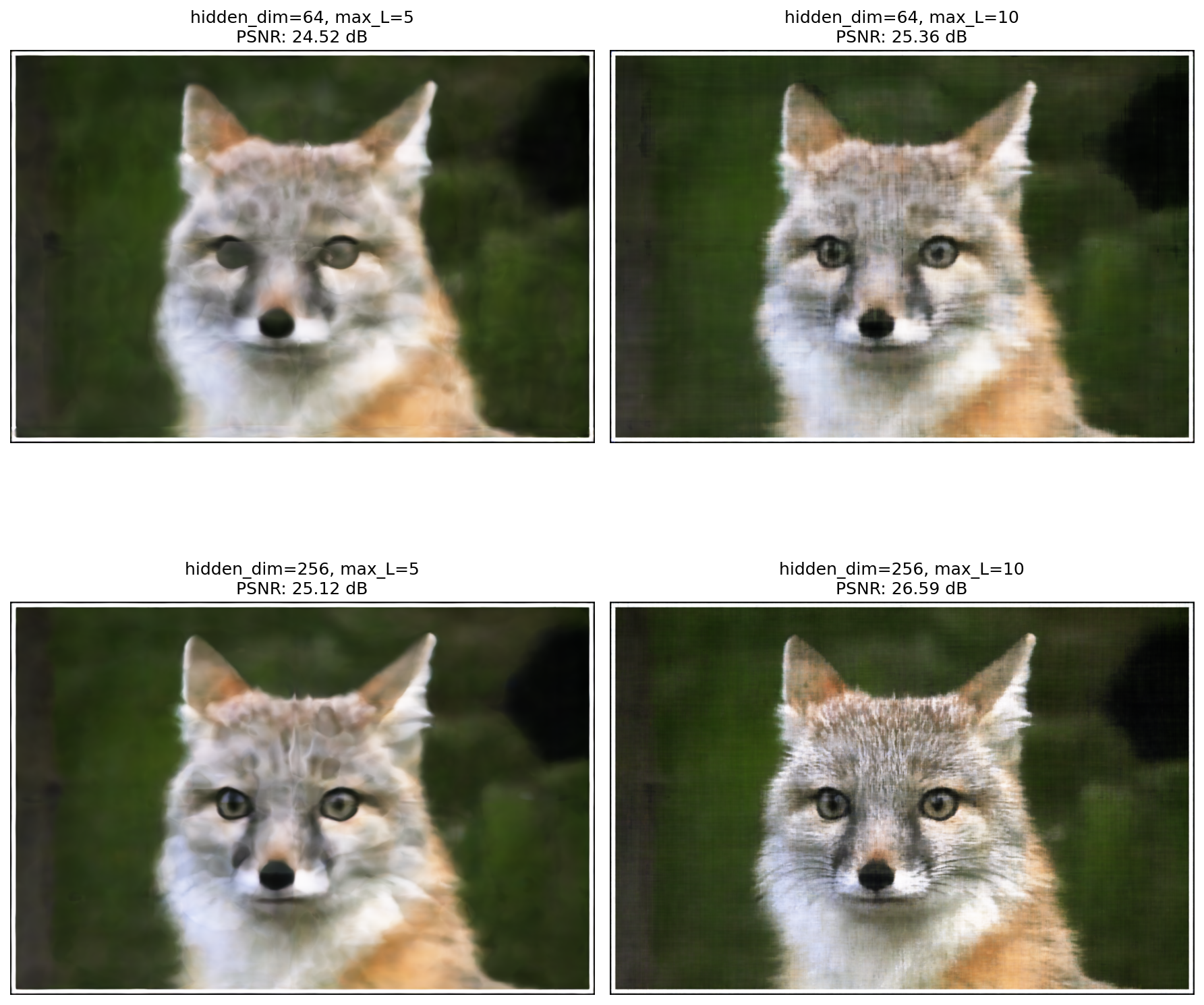 Training progression visualization for test image (fox)